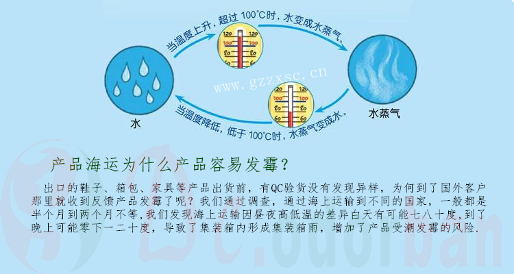 发霉分析