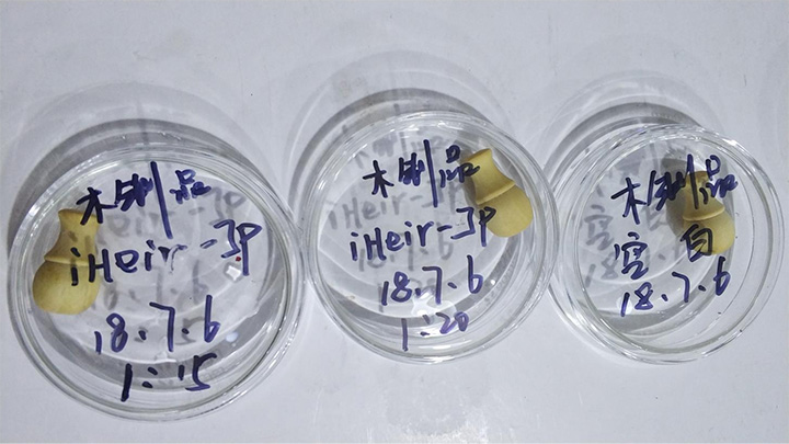 中纤板耐霉菌测试