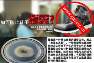 鞋子发霉根本原因