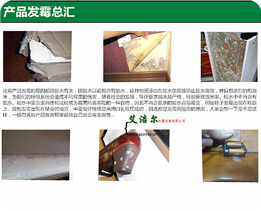 胶水防霉剂