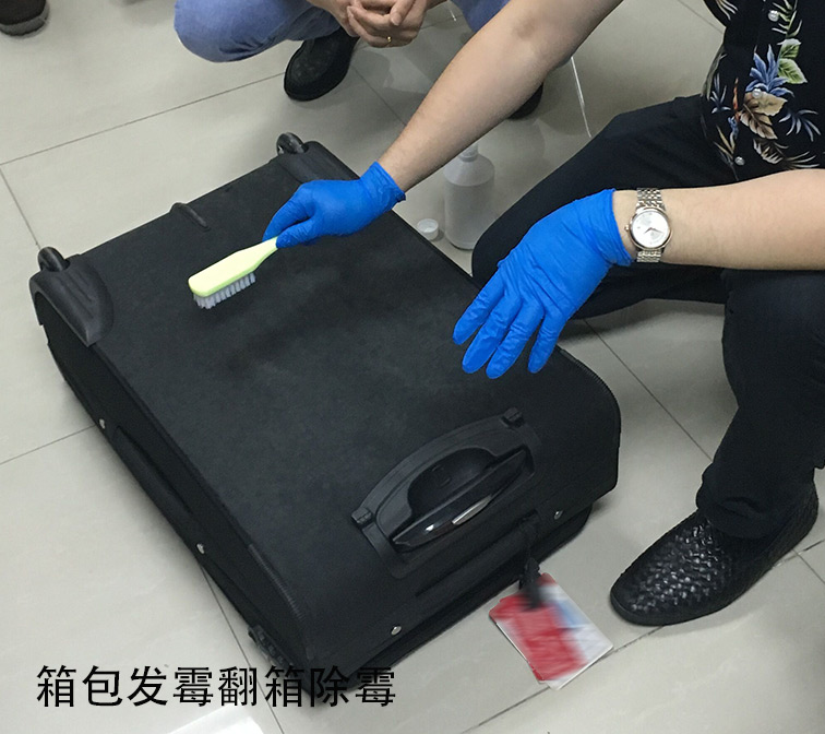 箱包防霉解决方案与发霉处理