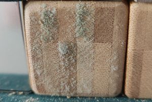 竹工艺品发霉怎么处理