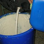 胶水防霉剂的作用