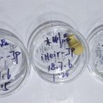 中纤维密度板防霉解决方案