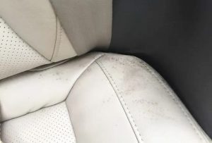 汽车用品发霉了怎么处理