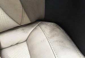 座椅套发霉翻箱除霉方案