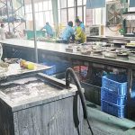 卫浴洁具防霉方案