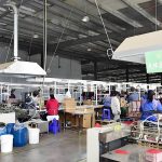 包装盒防霉处理方案