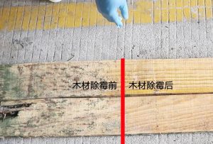 木材发霉了怎么处理