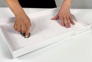 包装盒发霉了怎么处理