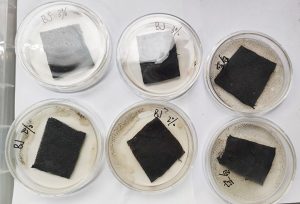纺织品防霉性能测试