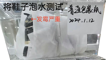 普通包装纸防霉测试28天严重发霉