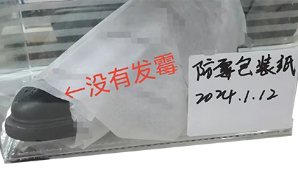 Dc.odorban防霉纸防霉测试28天0级防霉