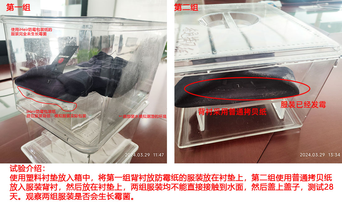 服装测试防霉效果对比图