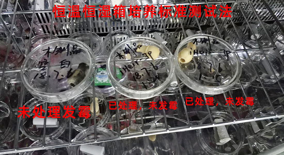 iHeir-JP竹木防霉剂标准防霉性能测试
