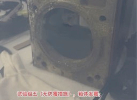 电子制品防霉测试-未经处理（严重发霉）