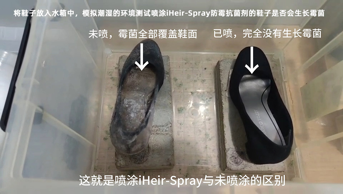 iHeir-Spray防霉抗菌剂对比测试