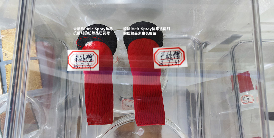 纺织品防霉测试